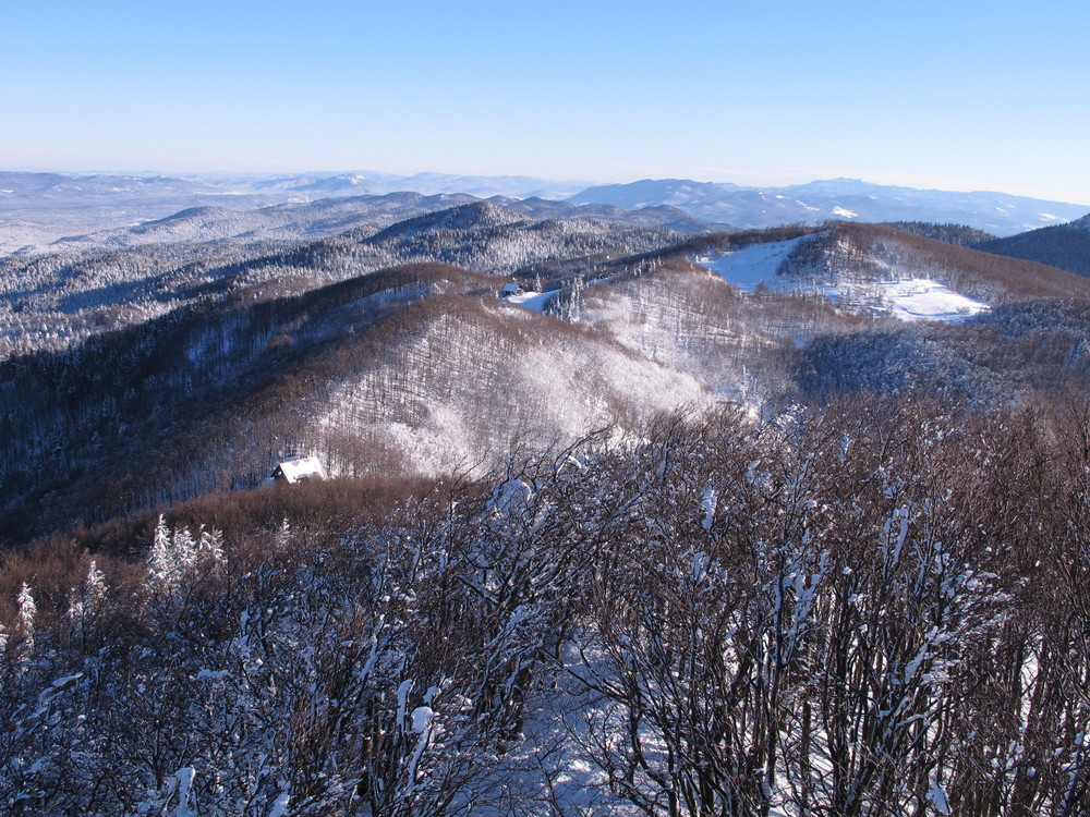 Javornik nad Črnim Vrhom
